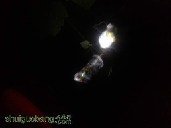 20140907_205240.jpg