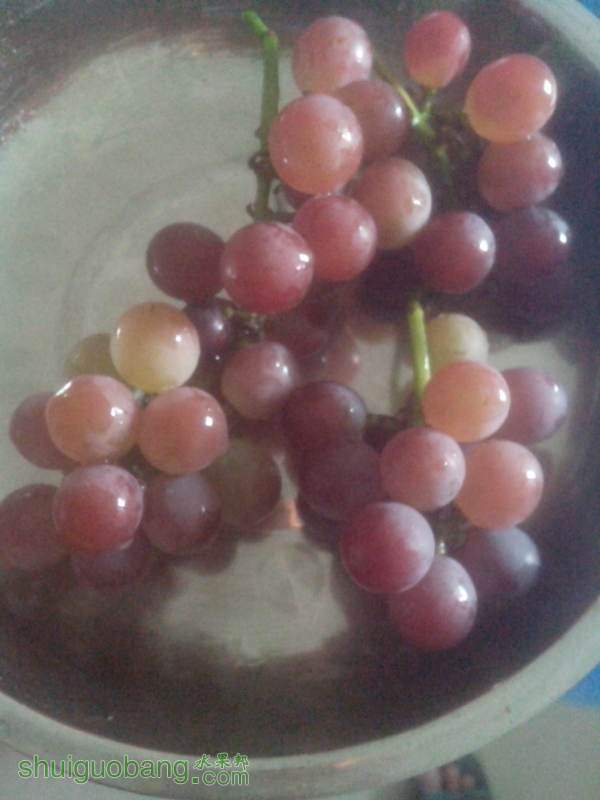 IMG_20140701_104300.jpg