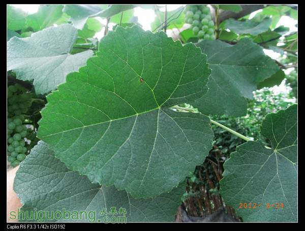 R0015160_nEO_IMG.jpg