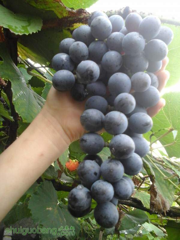 20140816_084825.jpg