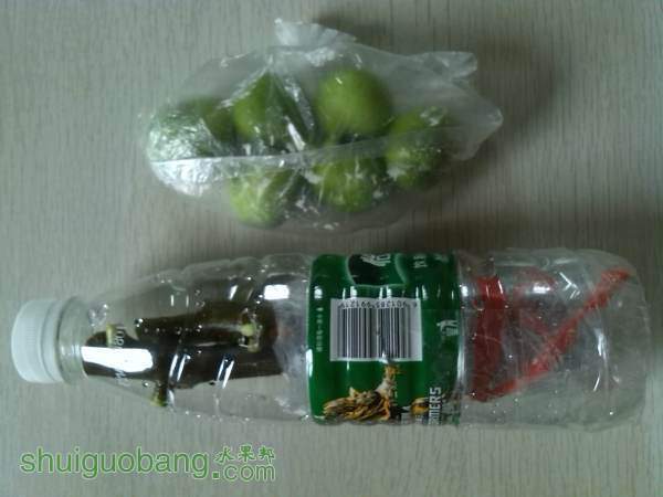 IMG_20140909_2.jpg