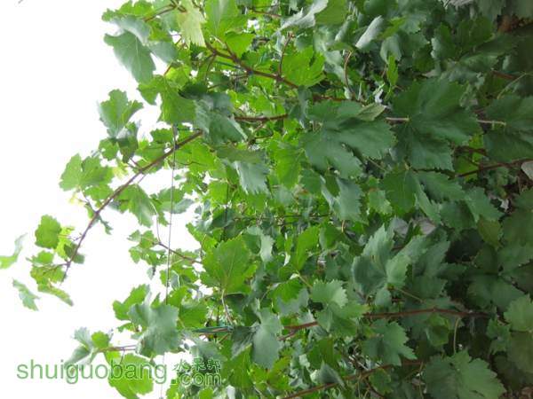 IMG_0151.jpg