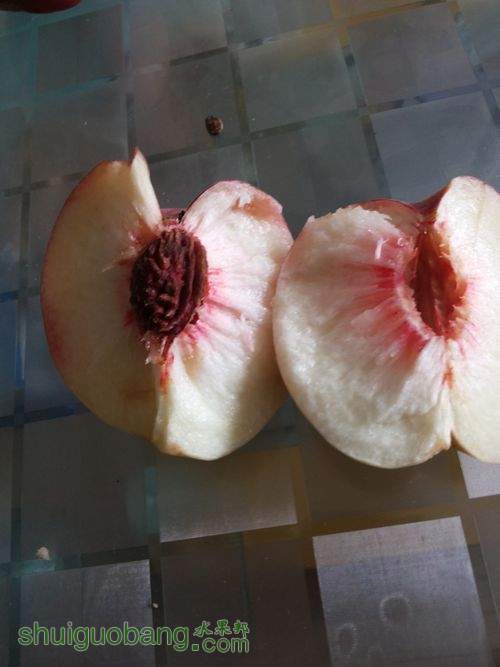 20140907_112721.jpg