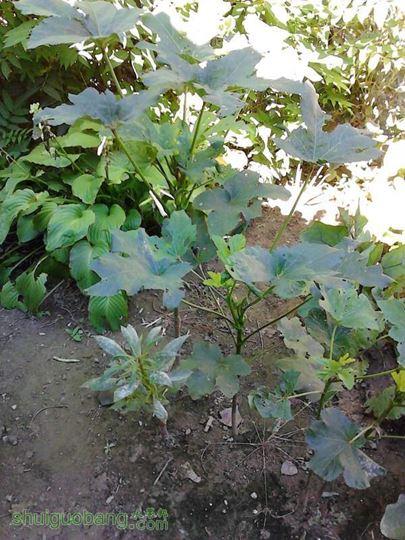 IMG_20140908_101722.jpg