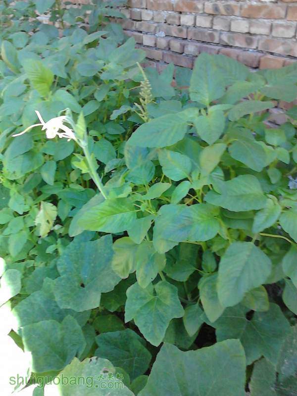 IMG_20140908_101745.jpg