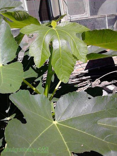 IMG_20140908_102036.jpg