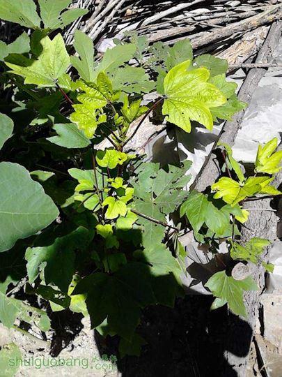 IMG_20140908_102057.jpg