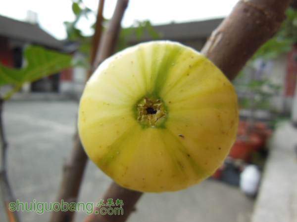 DSCN9922.JPG