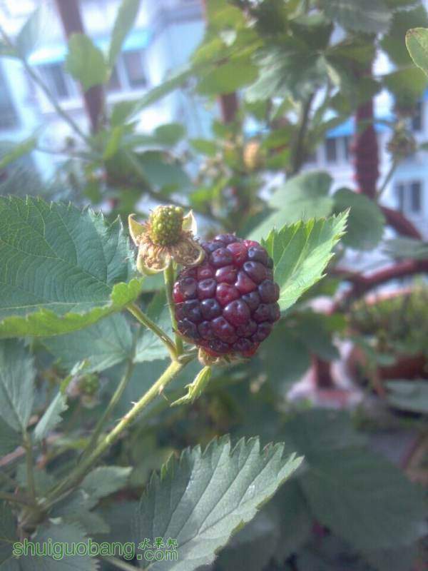 QQͼƬ20140911150435.jpg