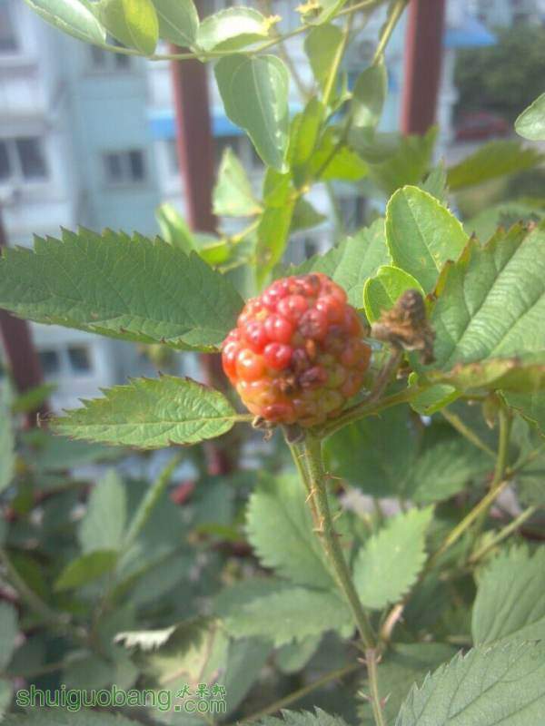 QQͼƬ20140911150447.jpg