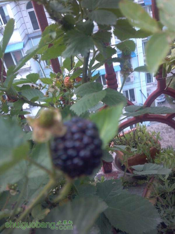 QQͼƬ20140911150441.jpg