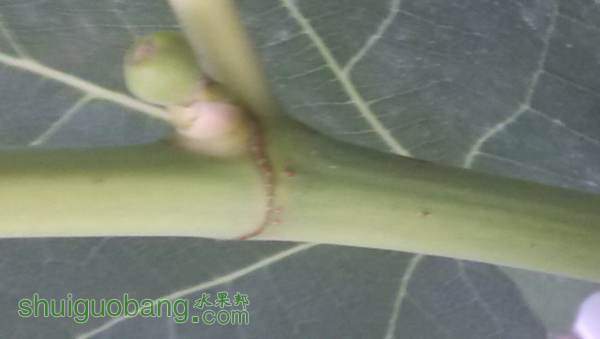 IMG_20140905_183903.jpg