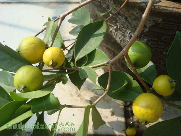 �ͻ�˹̹�ư���2014-09-13_0006.jpg