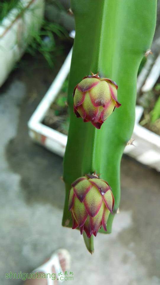 QQͼƬ20140914023103.jpg