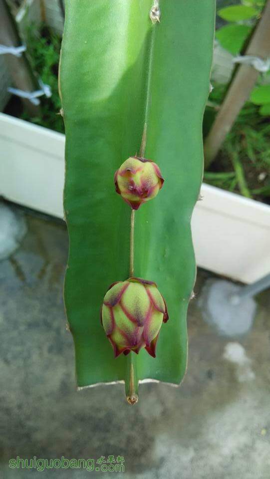 QQͼƬ20140914023110.jpg