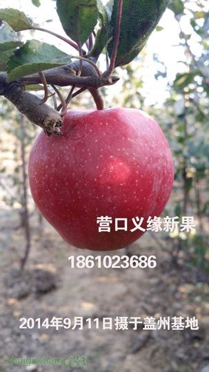 ɫ֮111906