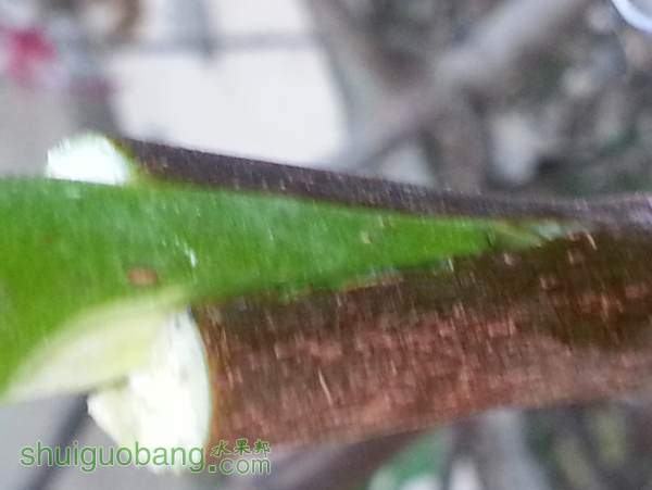 20140914_174128.jpg