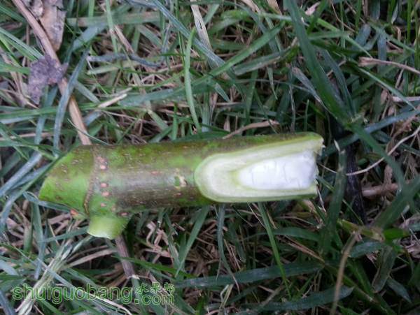20140914_171758.jpg