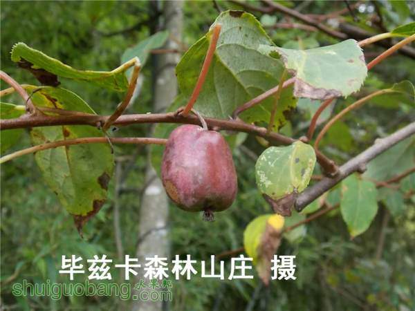 DSCN0870.jpg