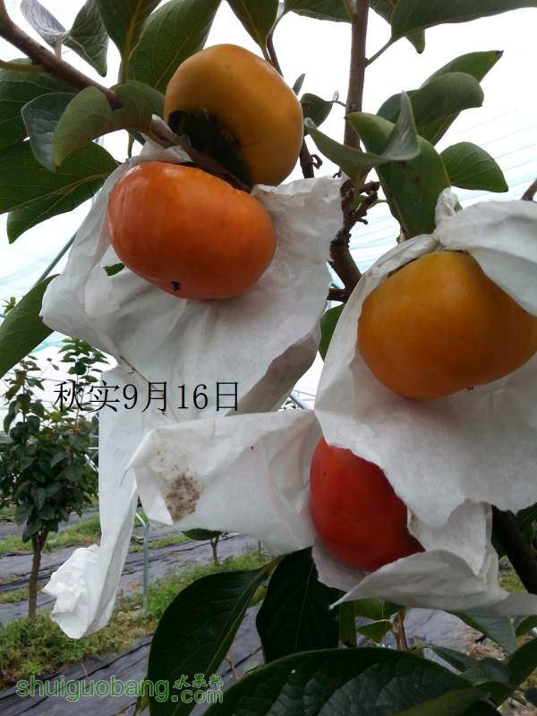 20140916_0758175.jpg