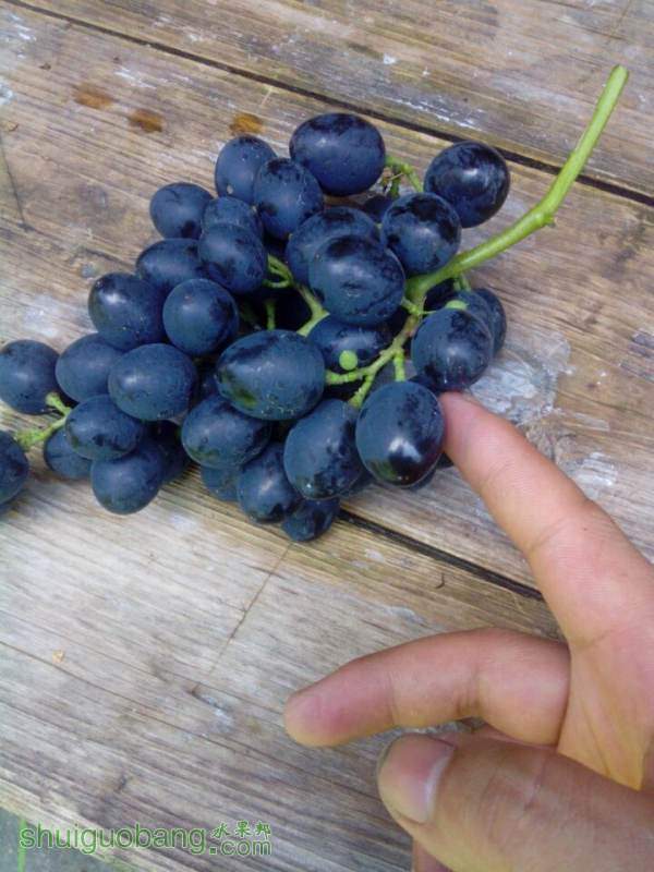 QQͼƬ20140911181556.jpg