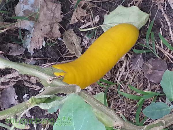 20140914_134817.jpg