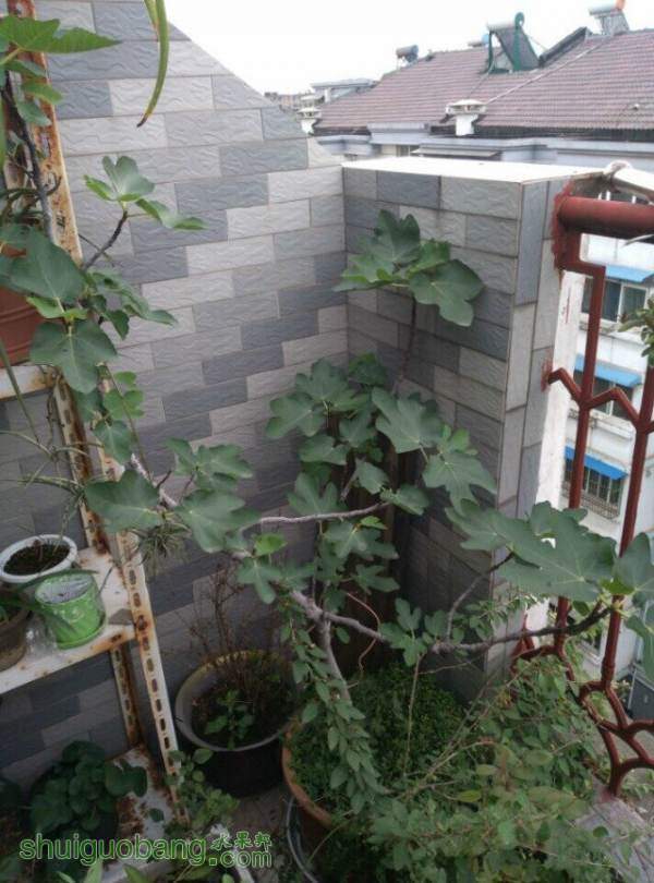 QQͼƬ20140917170530.jpg