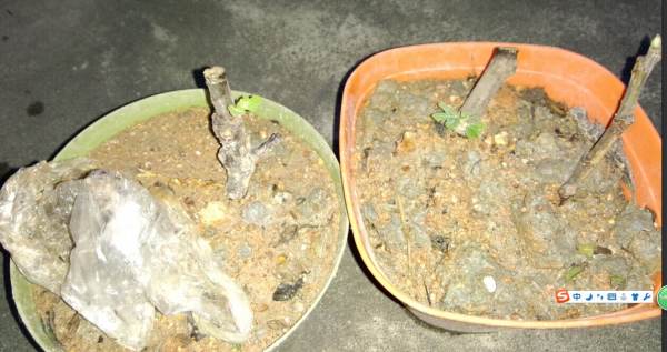 QQͼƬ20140917203251.jpg