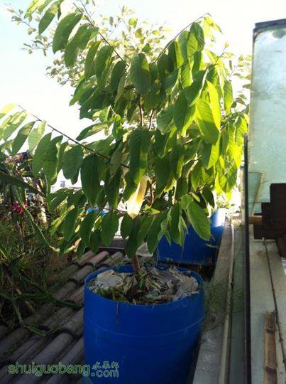 2014-09-18 070253.jpg