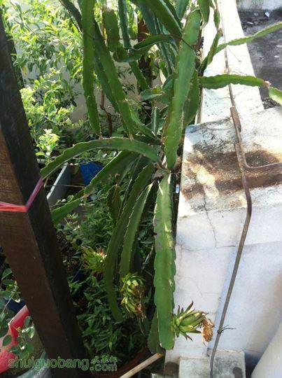 2014-09-18 070949.jpg