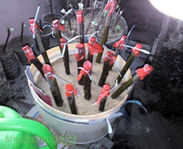 QQͼƬ20140314120849.jpg