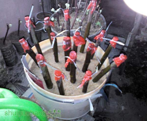 QQͼƬ20140314122001.jpg