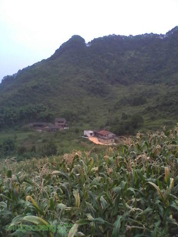 ��ת IMG_20140816_150517.jpg