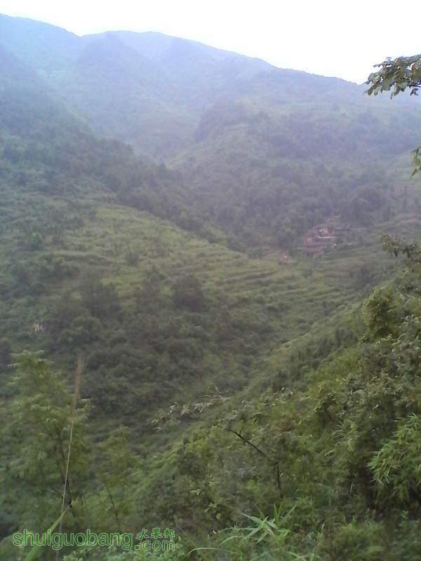 ��ת IMG_20140816_164120.jpg