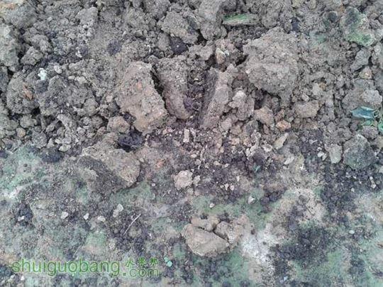 20140913_103321.jpg
