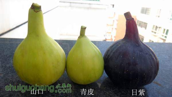 DSC00009__.jpg