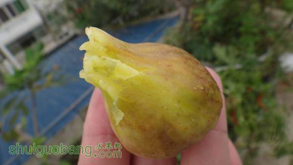 DSC00012_.jpg