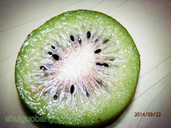 P9220007_.jpg