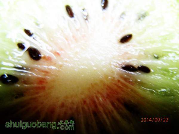 P9220008_.jpg