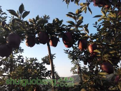 1410662247280 2088775097.jpg