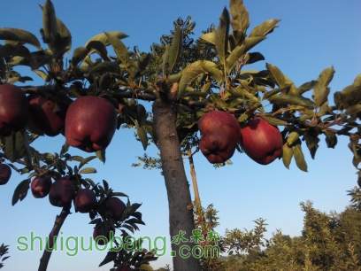 1410662247525 2117404248.jpg