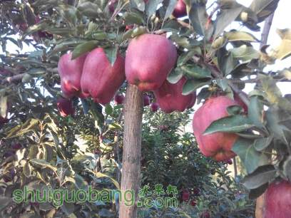 1410662247844 2145109878.jpg