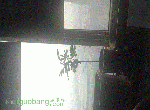 ���޻������Լ��ֳ�����2����.gif
