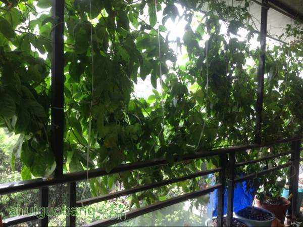 QQͼƬ20140924143504.jpg