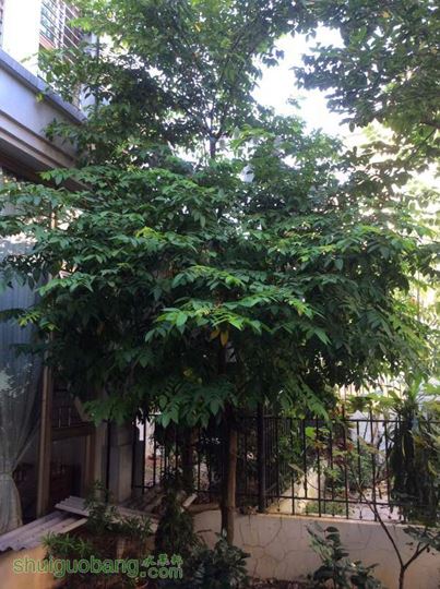 2014-09-26 073326.jpg