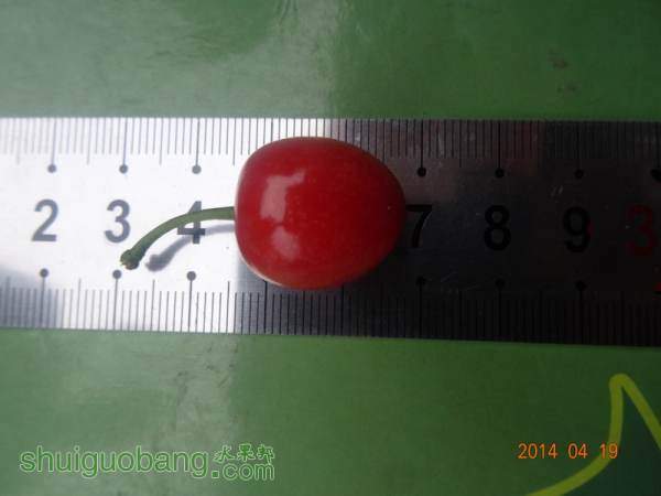 DSC02052.JPG