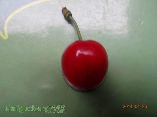 DSC02282.JPG