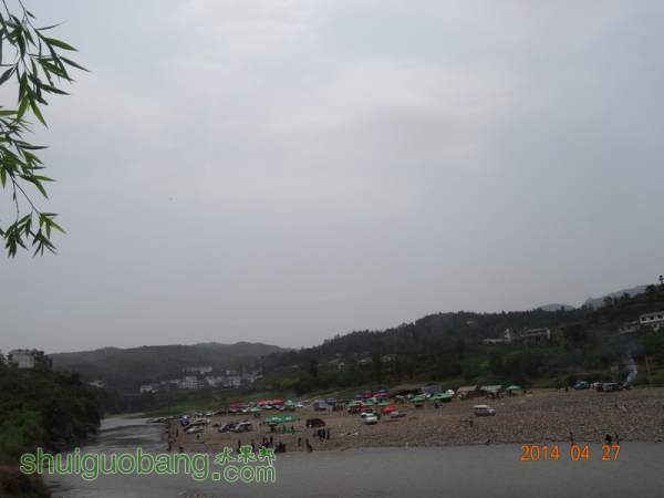 DSC02373.JPG