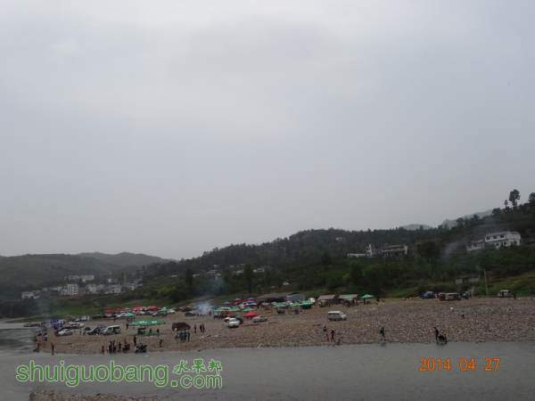 DSC02376.JPG