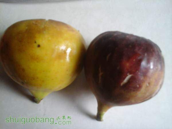 20140924_170706.jpg
